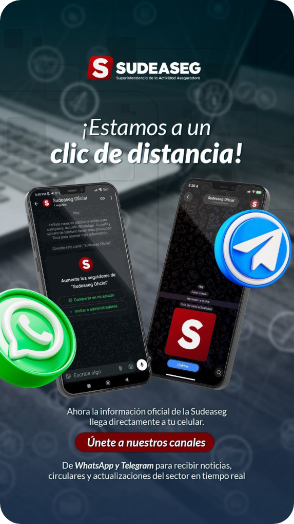 Canales de comunicación SUDEASEG